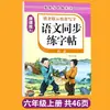 Caderno de Caligrafia Sincronizado em Chinês para Alunos do Ensino Fundamental e Médio, Séries 1-9, Ambos os Semestres, Caderno de Caligrafia Sincronizado para Prática de Escrita ao Treinar Novos Caracteres