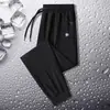 Calça Masculina de Nylon Seda de Gelo Jovem Verão Fina Secagem Rápida Calça Esportiva Masculina Tamanho Grande Reta Casual Estilo Masculino