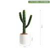 Cactus Falso Simulado Planta Verde en Maceta Florero Decorativo Adornos Pared de Fotos Fondo Simple Planta del Desierto Bonsái