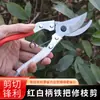 Tijeras de podar, tijeras de jardinería, tijeras especiales para cortar ramas, tijeras de jardín, tijeras para podar flores, tijeras de jardín, tijeras para podar árboles frutales