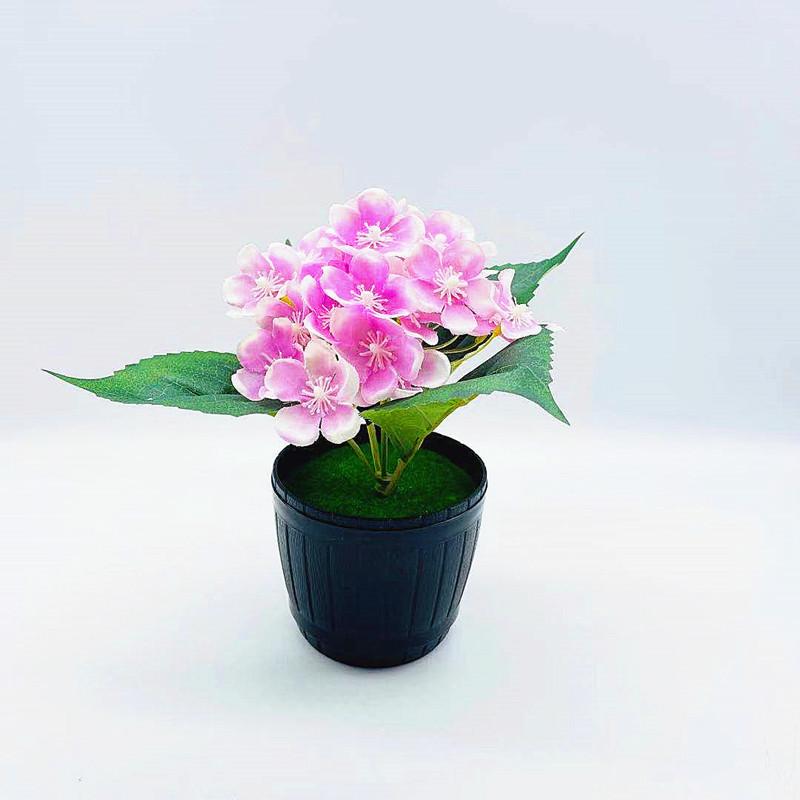 微信图片_20211001170501_副本