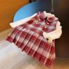 Vestido de Terno para Meninas Primavera, Outono e Inverno Novo Vestido de Princesa Plus Veludo para Bebê Menina Suéter e Saia da Moda