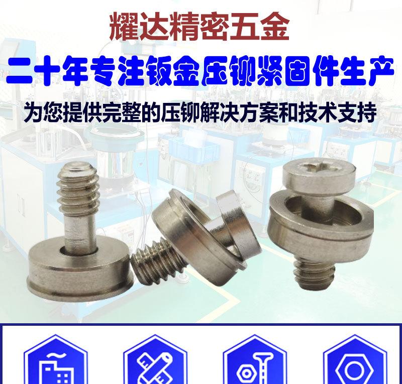 F5松不脱螺钉_01.jpg