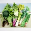 Simulación Hortaliza Verde Corazón Hoja Fruta Modelo de Comida Decoración de Cocina Adornos Cadena para Colgar Boceto Fotográfico Accesorios de Juego