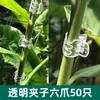 Clipe de Fixação de Plantas Suporte para Flor de Orquídea Borboleta Suporte de Clipe para Orquídea Haste de Suporte Plantas Trepadeiras Arame de Ferro Especial Curvável Horticultura