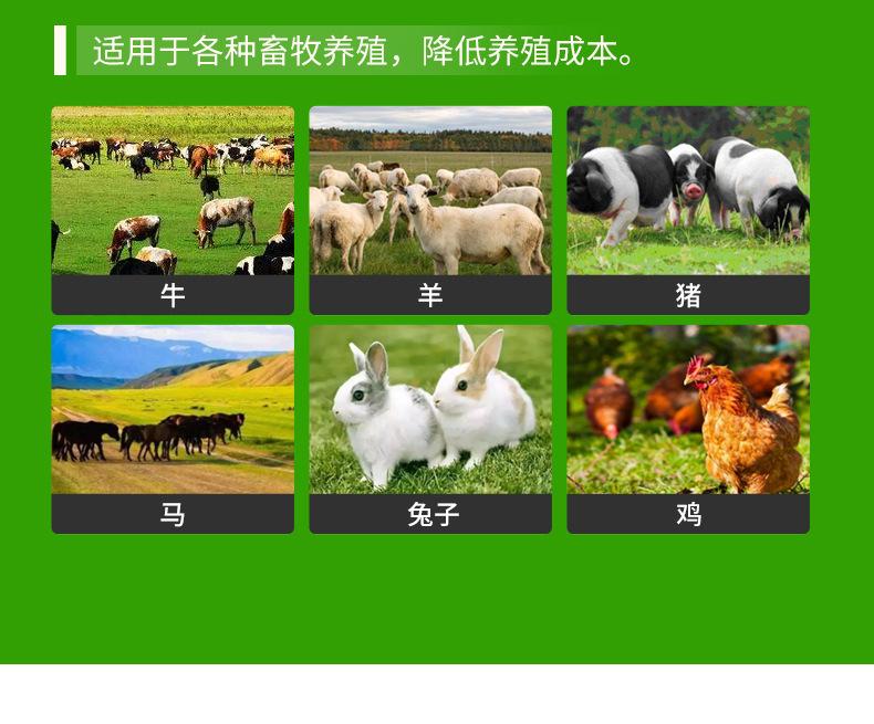 详情页版790-10000_16.jpg