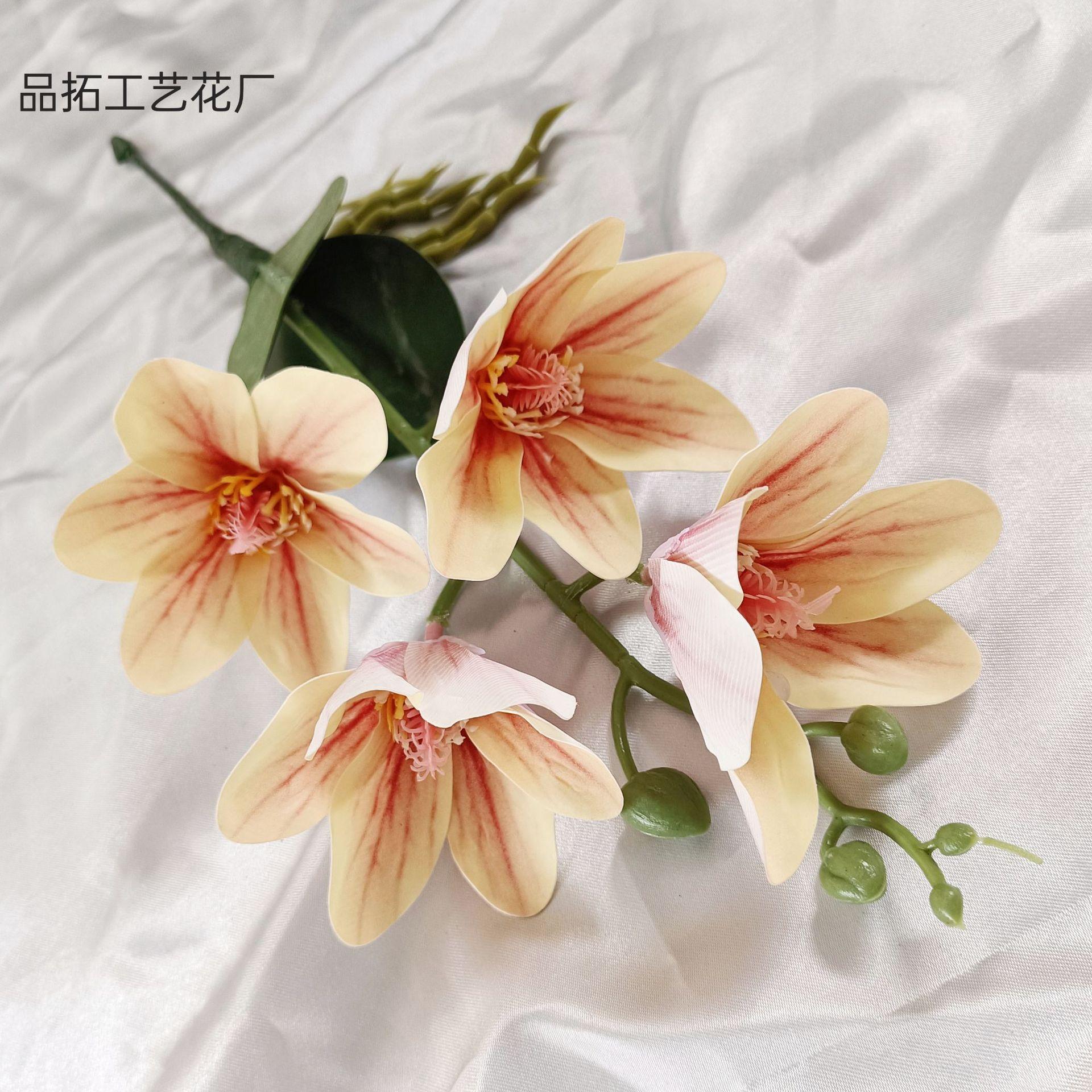 5f87faa293685dd1788a711eeef960