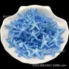 Animales Marinos Perlados de Colores Caballo de Mar Estrella de Mar Agujero Recto DIY Hecho a Mano Cadena de Teléfono con Cuentas Accesorios Producto Nuevo