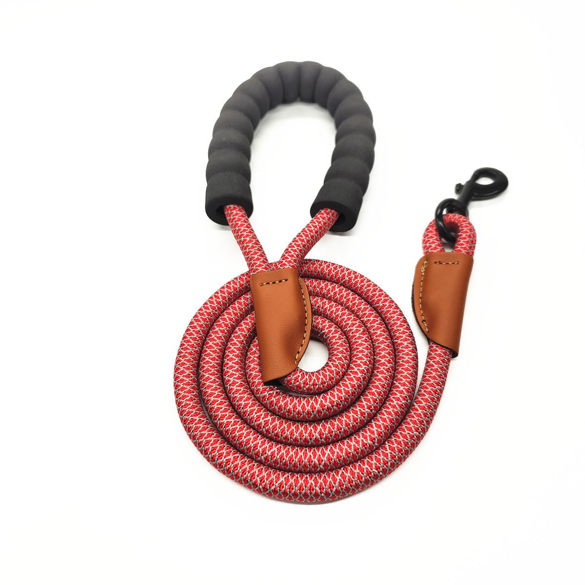 QQ图片20220226103853_副本