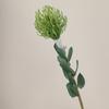 Cojín de alfileres de simulación Flor Decoración moderna para el hogar Flor Dominante Flor Emperador Cojín de alfileres de plástico Flor Artificial Planta verde Accesorios de fotografía