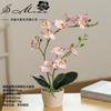 Flor Falsa Phalaenopsis de Duas Hastes Bonsai Planta Verde Fornecimento Direto da Fábrica Flor Ornamentos Criativos Plantas Artificiais Transfronteiriças Plantas Envasadas Simuladas