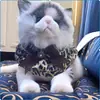 Bandana de moda con estampado de leopardo para mascotas, adecuada para gatos y perros en todas las estaciones, disfraz de Halloween hecho a medida