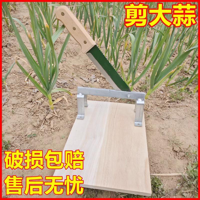 主图_4_PC(1).jpg