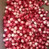 Venta al por Mayor de Espuma Modelo de Fruta Pequeña Set de Verduras Pequeñas Fruta Falsa Decoración Atrezzo Fruta Mini Simulada