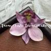 Tiara de Flor Artificial Crisântemo Orquídea Estilo Mesmo da Xiaohongshu Broche Flor de Chinelo DIY Grampo de Cabelo Adorno de Cabeça Combinação de Roupas