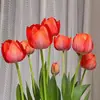 Bulbos de Tulipán, Tulipanes Holandeses, Bulbos Grandes Multicolor, Ajardinamiento de Parques, Cultivo en Suelo, Cultivo Hidropónico, Tulipanes Fáciles de Cultivar