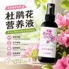 Solução nutritiva para Rododendros previne o amarelamento das folhas e promove a floração, adequada para cultivo hidropônico e em solo, um fertilizante universal para plantas de interior em vasos