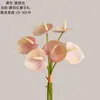 Jingyu Palma Roja Hecho a Mano Transfronterizo Fabricante de Flores Artificiales Flores Falsas Plantas Verdes Venta al por Mayor Decoración de Bodas Artesanías Estilo Ins