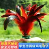 Gallito de Plumas para Niños, Estudiantes de Primaria, Adultos, Duradero y Adecuado para Patear, Gallito de Plumas para Competición, Juego Activo