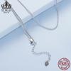 Evelle Simple Collar Fino de Meteorito de Combinación Universal Plata de Ley s925 Chapado en Platino Cadena de Clavícula de Combinación Universal Joyería para Mujer