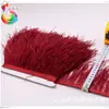 Suministros del Fabricante Recorte de Plumas de Avestruz, Recorte para Ropa de Plumas Importado de Sudáfrica, A partir de 00710m Piezas, Recorte Ancho de Encaje