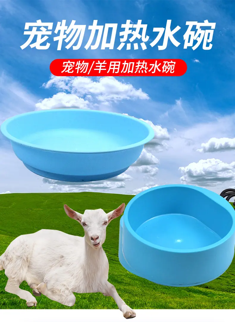 1_01.jpg
