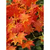 Videira de Folha de Bordo Vermelho Videira de Flor de Plástico Folhas Decoração Videira Flor Artificial Treliça Planta de Teto Tubo de Plantação Enrolamento