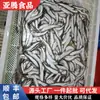 Peixe Multi-Primavera Cheio de Sementes, Peixe Semente Humano-Comedor Fresco, Frutos do Mar Congelados, Produtos Aquáticos, Peixe Fresco do Mar, Churrasco, Matérias-Primas de Peixe Multi-Primavera para Comércio