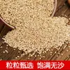 Semillas de Sésamo Blancas al por Mayor de Fabricantes, Granos Molidos, Ingredientes para Cocinar y Postres, Ingredientes para Bebidas Mixtas, Semillas de Sésamo Blancas Cocidas