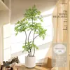 Planta Nandina Aterrizaje Planta en Maceta Interior Grande Biónica Verde Adornos Sala de Estar Lujo Ligero Flor Decorativa Árbol Falso