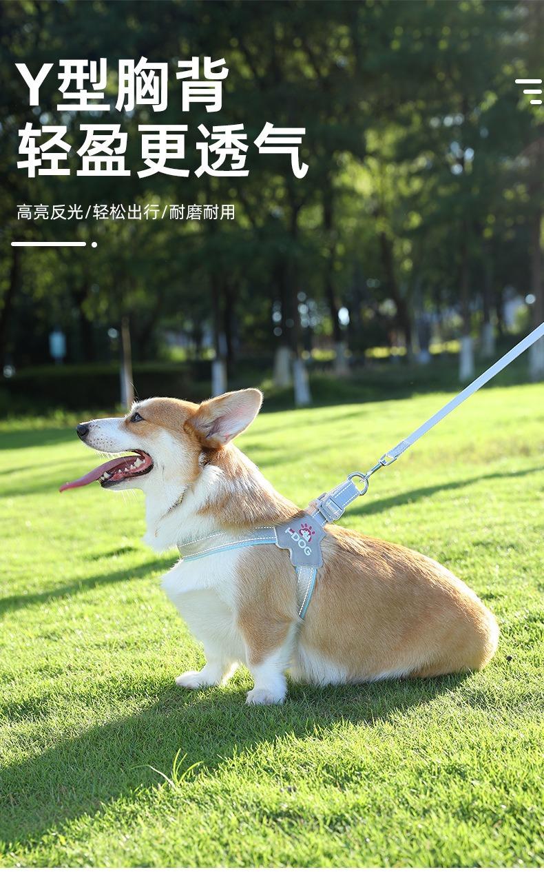 描述图_1.jpg