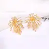 Pendientes Exquisitos y Únicos de Zirconia y Perla Estilo Coreano, Pendientes de Lujo Ligero de Nicho de Gama Alta con un Ambiente Versátil y Elegante