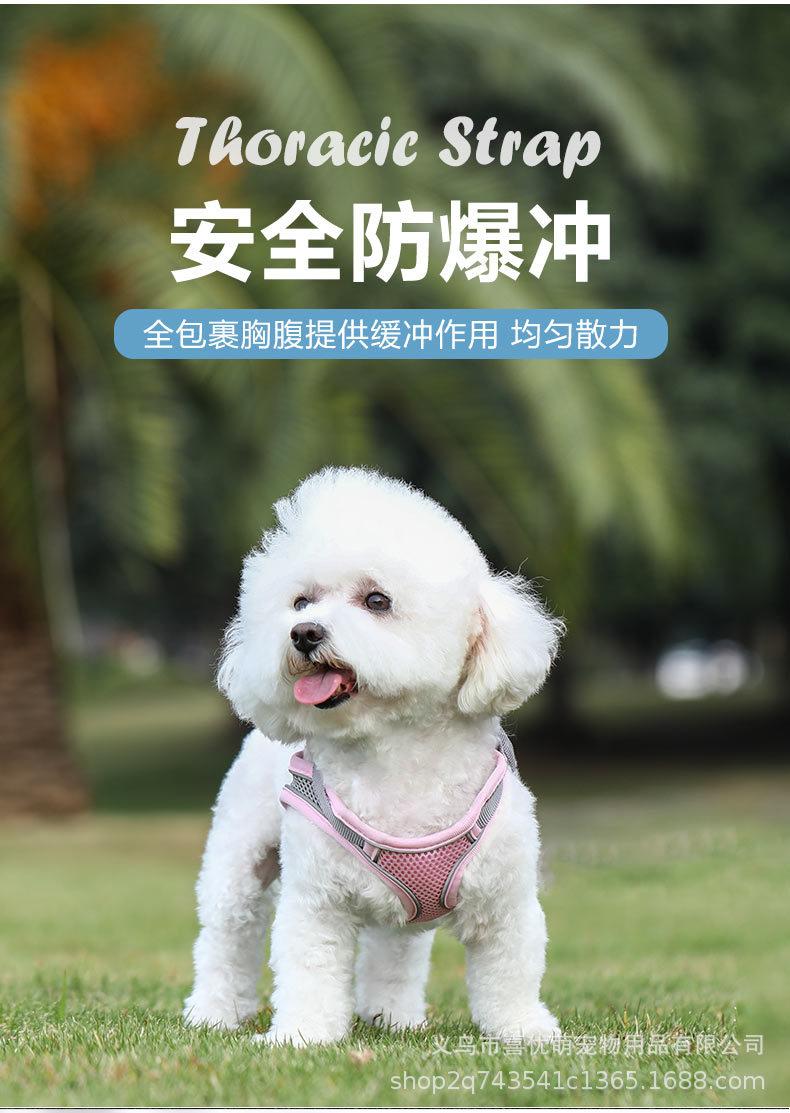 狗绳_07.jpg