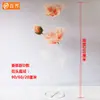 Nuevos accesorios para bodas camino plomo degradado champán abierto y cerrado flores serigrafía papel arte decoración fondo diseño fotografía tridimensional