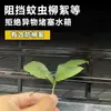 Acessórios Modificados Dedicados para 25 Chery Fengyun A9L Tela de Insetos Proteção do Radiador Grelha à Prova de Poeira