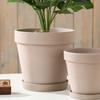 Moca Natural Liso Quema Transpirable Absorbente Maceta de Cerámica Nórdico Simple Gris Bandeja de Cinturón Grande Plantación Flores en Maceta
