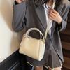 Bolsa de Mão Feminina 2025 Nova Primavera e Verão Bolsa Saco de Nicho Bolsa de Ombro Transversal para o Trabalho Moda Bolsa Popular
