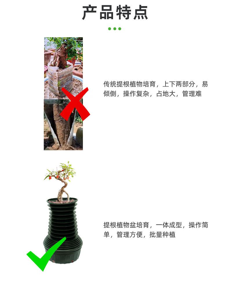 提根植物培育盆