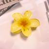 Europa e Estados Unidos cross-border plumeria flor grab clip feriado vento bauhinia hairpin feminino back head plate cabelo tubarão clip cabelo agarrar atacado