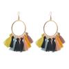 Europa y Estados Unidos nuevos pendientes de borla de moda para mujer, forma de abanico, color popular, pendientes para fotografía callejera, pendientes, suministro transfronterizo