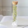 Tubo de Ensaio de Vidro Buquê de Flores Secas Flor Eterna Garrafa dos Desejos Espécime Casamento Formatura Aniversário Presente Flor Eterna