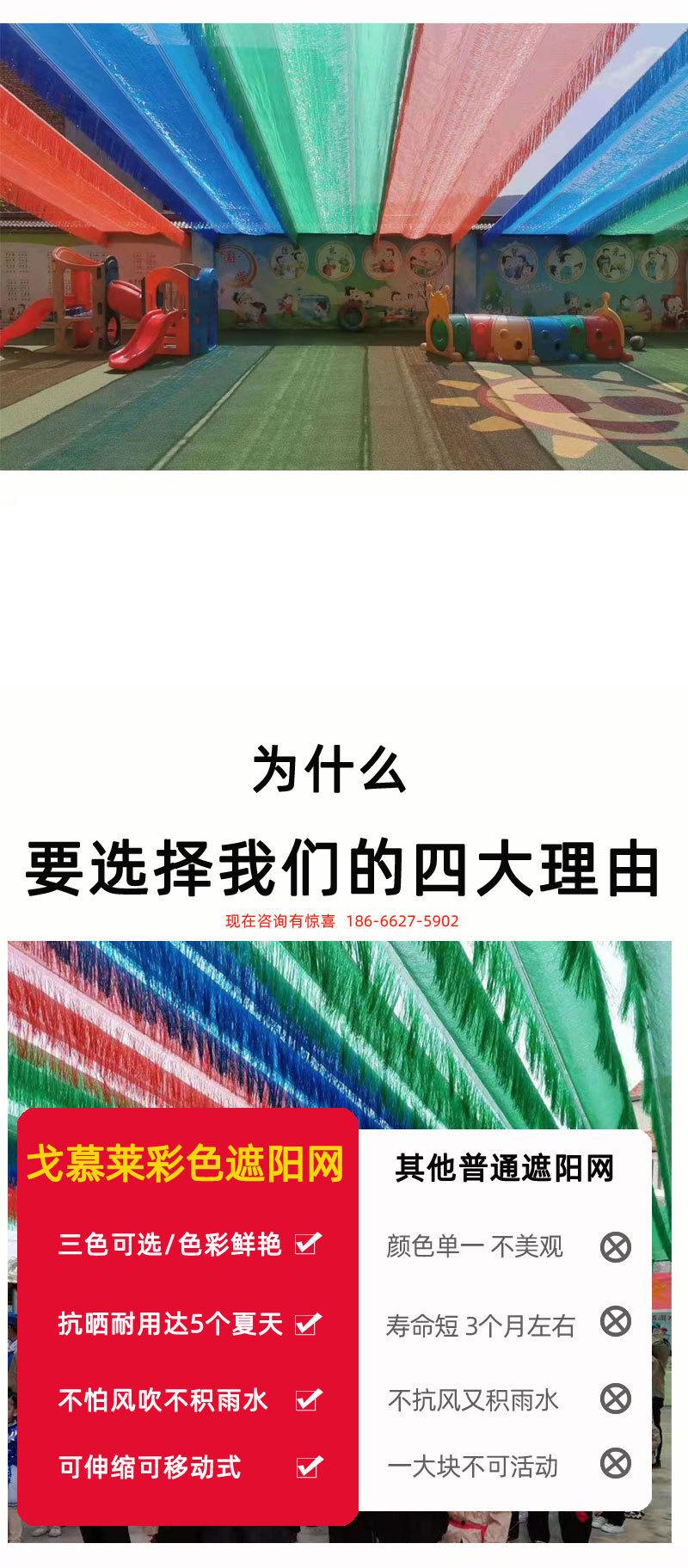 彩网新_05.jpg