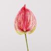 Artificial 3D Anthurium Transfronterizo Hogar Muebles Suaves Arreglo Floral Anthurium Flor Artificial Boda Palma Grulla de Fuego Hoja Artificial Venta al por Mayor