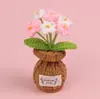 Plantas de Tulipán Hechas a Mano con Ganchillo Transfronterizas en Maceta, Adornos de Rosa, Jarrones de Flores Tejidos con Hilo, Flores Artificiales, Plantas en Maceta para Escritorio