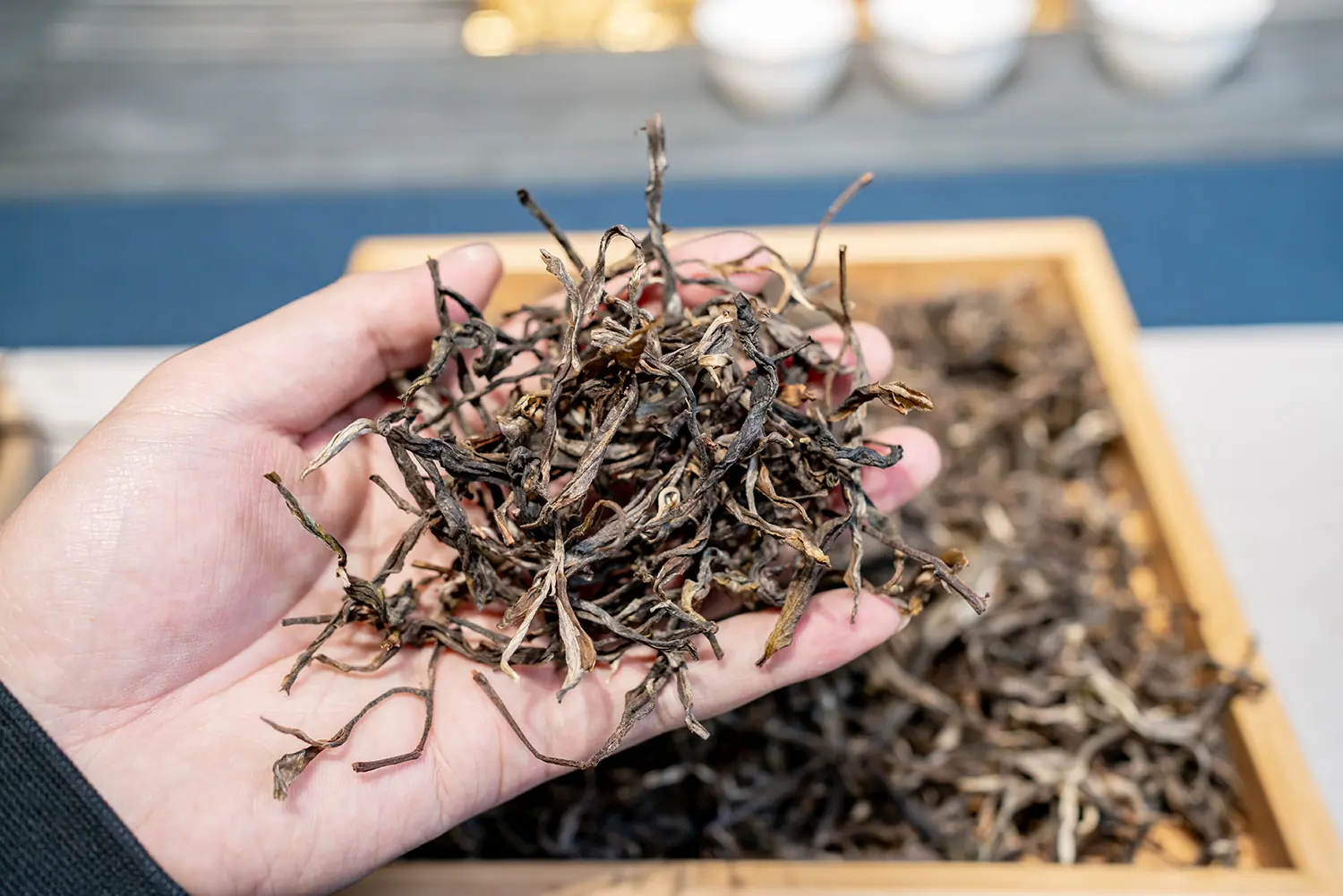 懂过散茶 (5).jpg