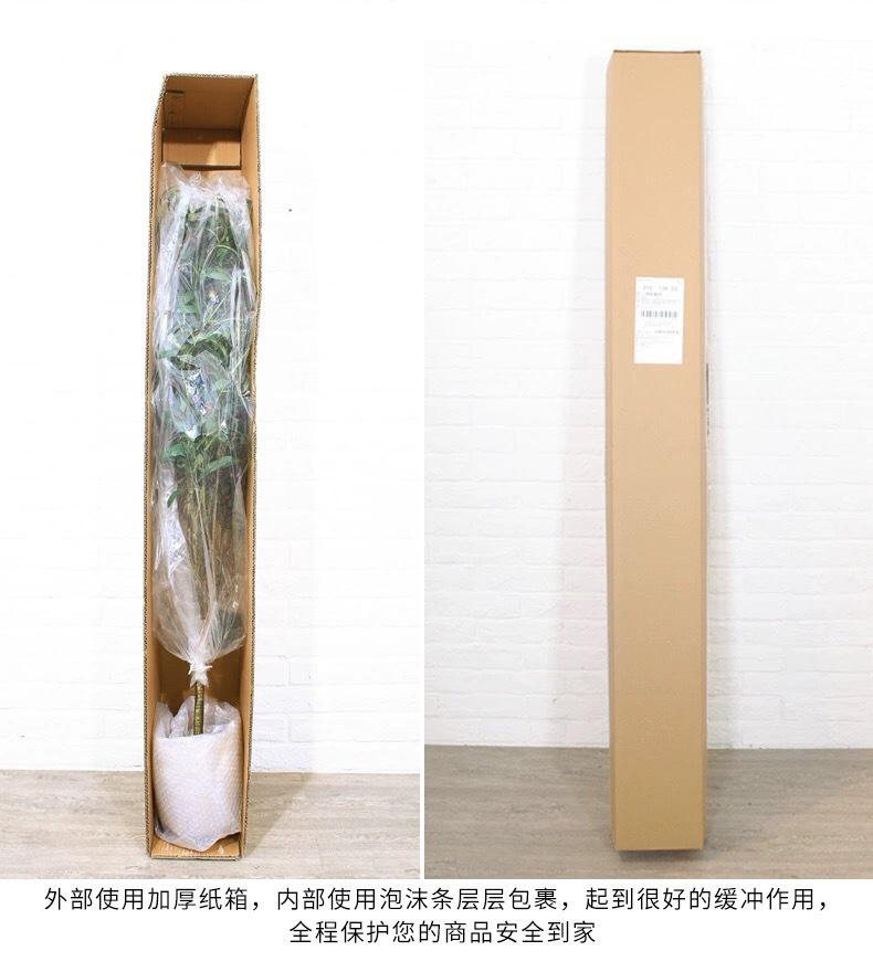 150818d1b6a2604b35359ce349f4a1