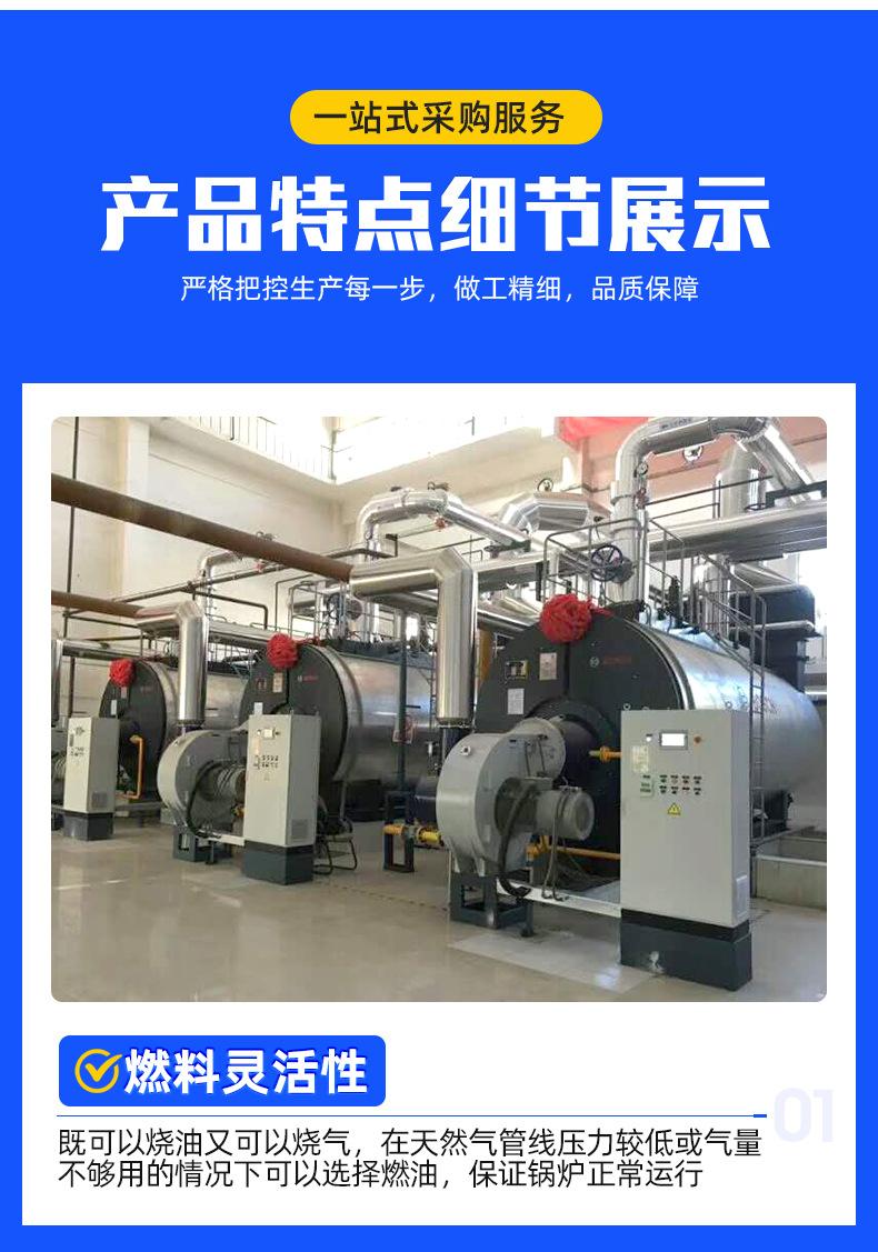 4燃气燃油蒸汽锅炉-1_04.jpg