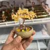 Árvore de citrino natural ágata de milho cornucópia base de chá árvore da fortuna ornamentos árvore da vida artesanato criativo feito à mão