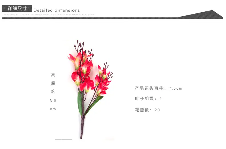 7剑兰小把花_05.jpg