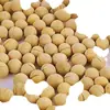 Soja Torrada em Baixa Temperatura, Soja Cozida, Soja Crocante, Farinha de Soja Moída na Hora, Matérias-Primas Atacado para Produtos de Grãos